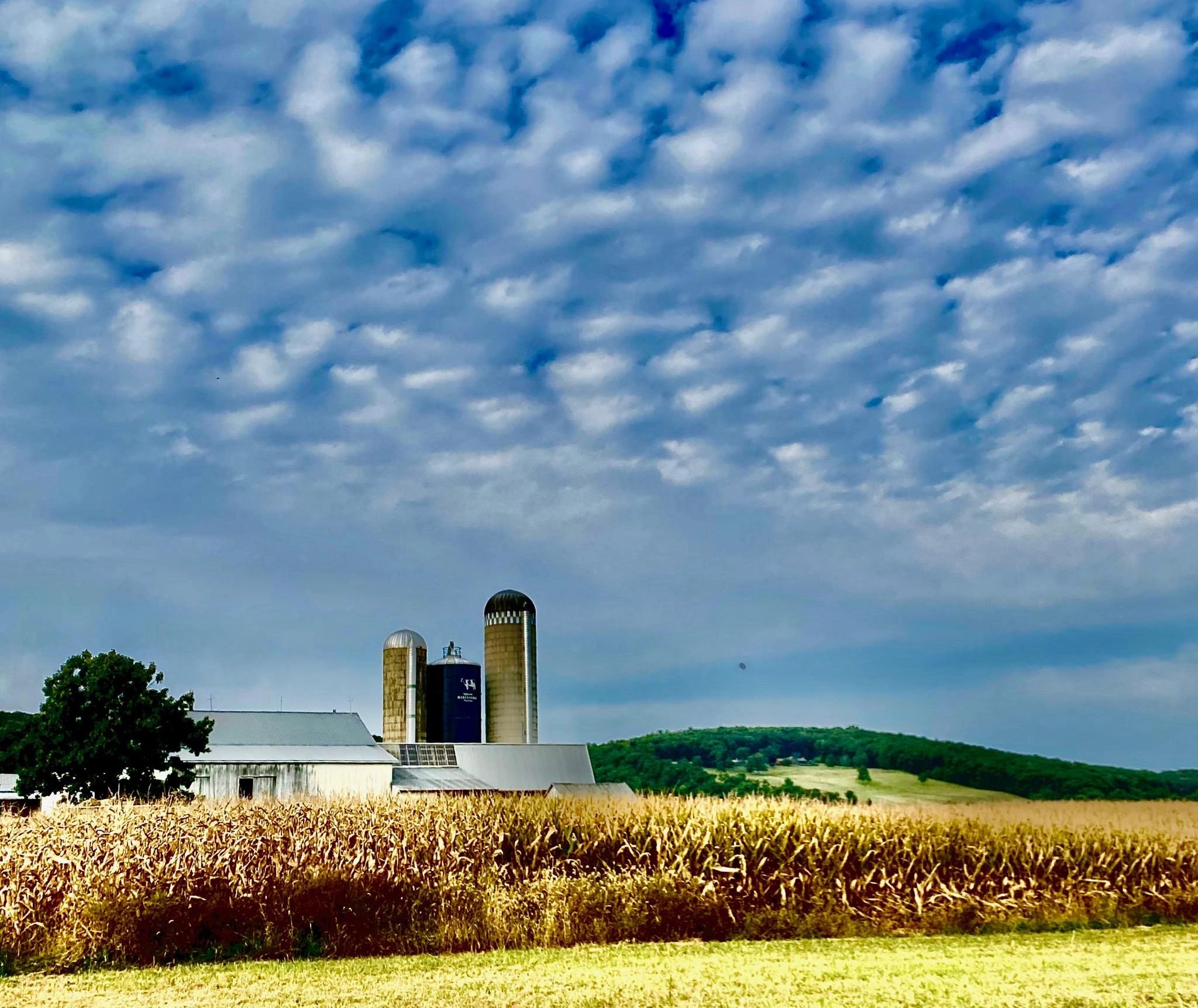Miller Charm Farm Butcher Tamaqua, Pennsylvania